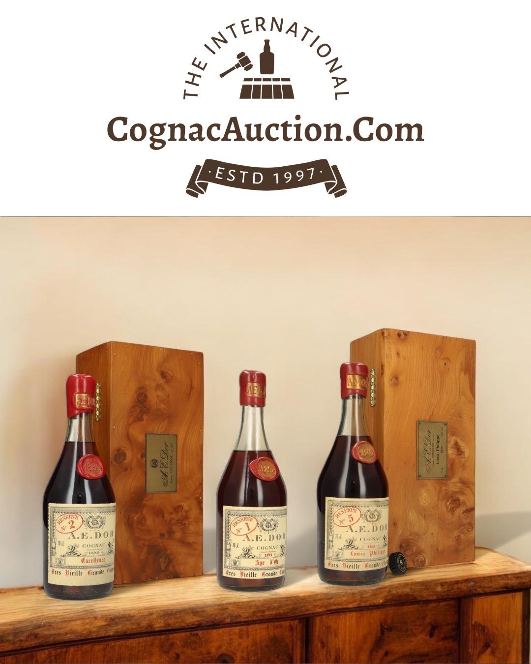 Cognac Kachel